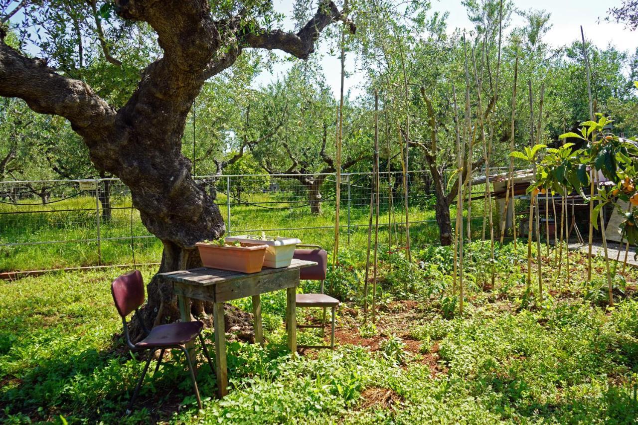 Veni Olive House Villa Kalamata Exterior foto