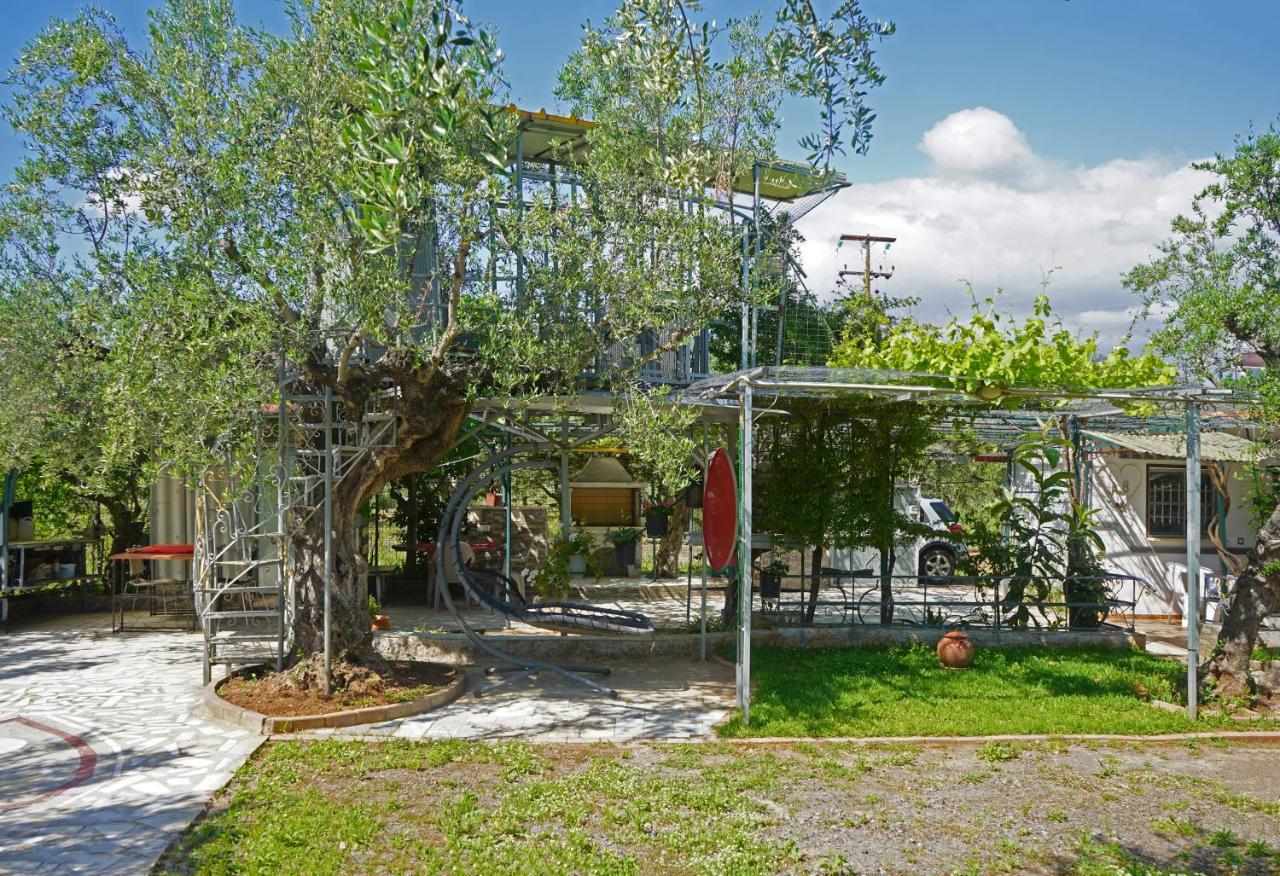 Veni Olive House Villa Kalamata Exterior foto