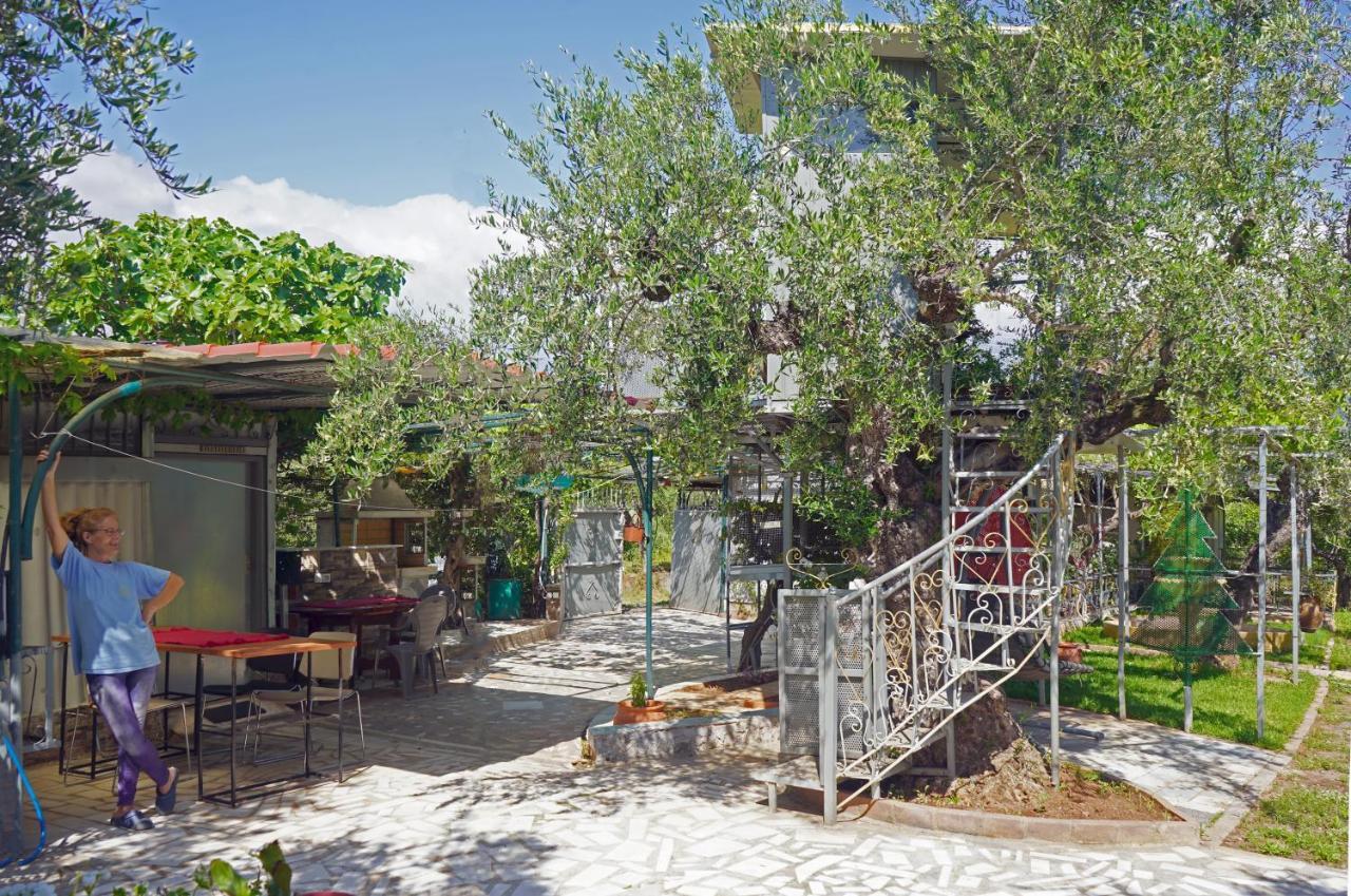 Veni Olive House Villa Kalamata Exterior foto
