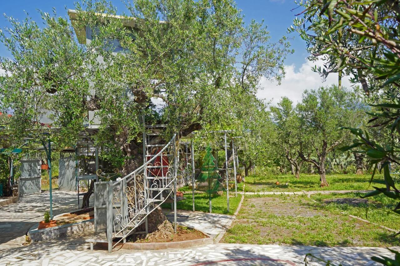 Veni Olive House Villa Kalamata Exterior foto
